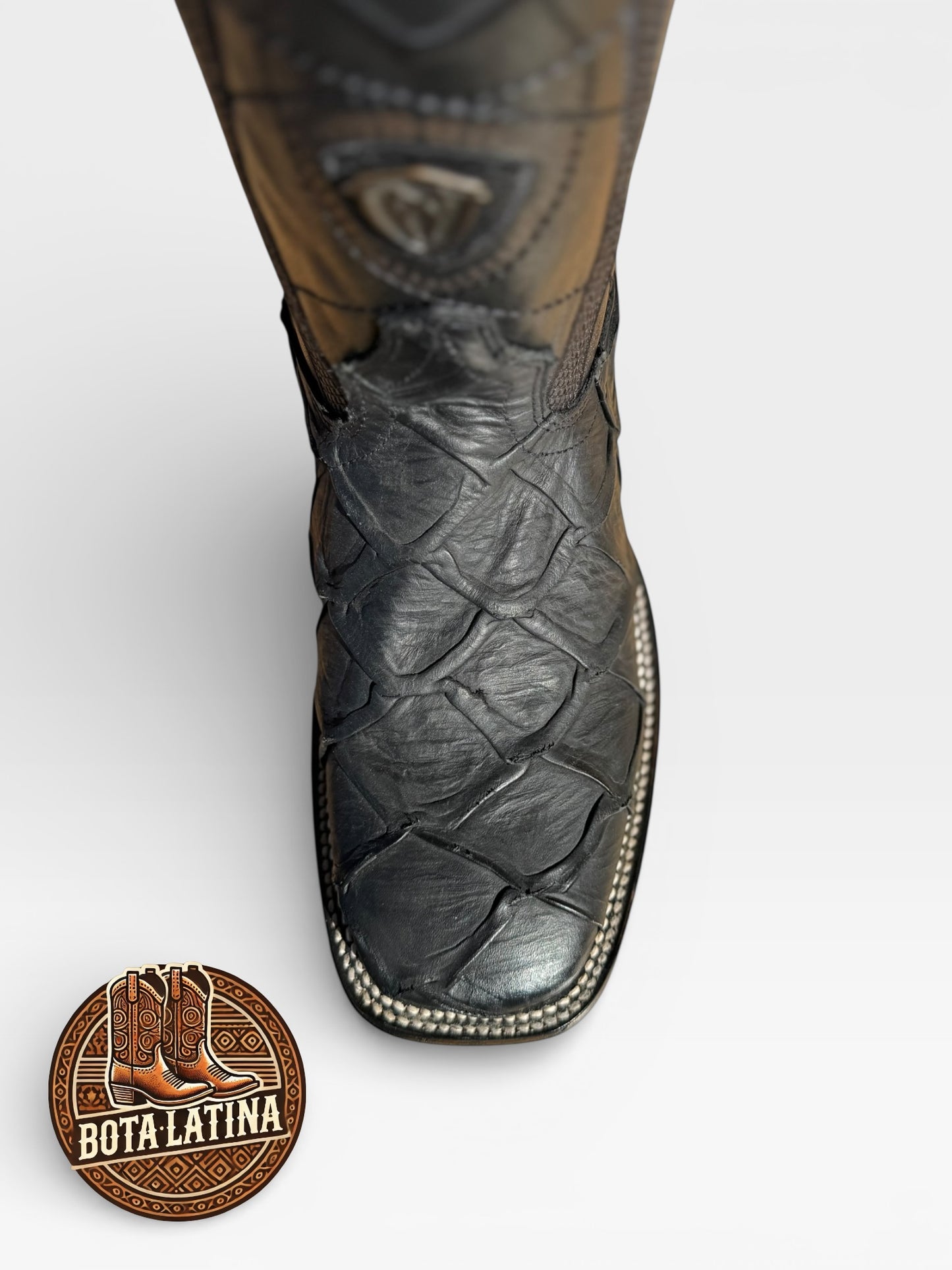 MonsterFish – Black